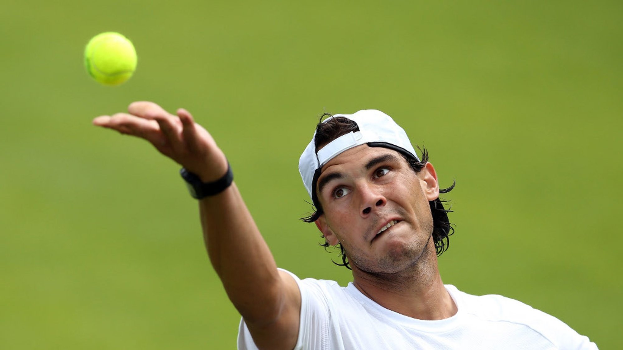 rafa saque